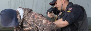 В Ковдоре сотрудниками полиции раскрыта кража двухколесного транспортного средства
